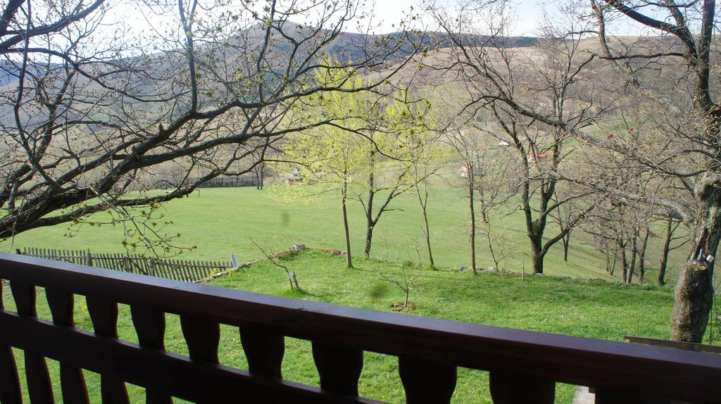 Apartment Gajevi Zlatibor Ngoại thất bức ảnh